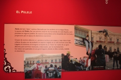 carnaval-miguelturra-museo-momo