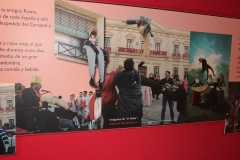carnaval-miguelturra-museo-momo
