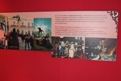 carnaval-miguelturra-museo-momo