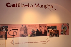 carnival-miguelturra-museum-momo