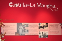 carnival-miguelturra-museum-momo
