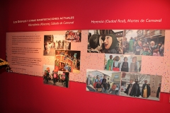 carnaval-miguelturra-museo-momo
