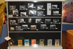 carnaval-miguelturra-museo-momo