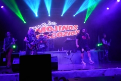 carnival-miguelturra-opening-speech-2018