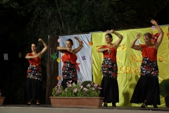 carnival-miguelturra-barrio-oriente-2018