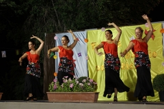 carnival-miguelturra-barrio-oriente-2018