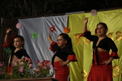 carnival-miguelturra-barrio-oriente-2018