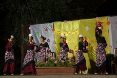 carnival-miguelturra-barrio-oriente-2018