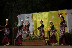 carnival-miguelturra-barrio-oriente-2018