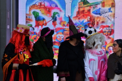 carnaval-miguelturra-presentacion-cartel-2023