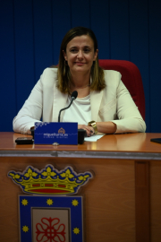 carnaval-miguelturra-presentacion-mascaras-mayores-2027