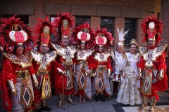 carnaval-miguelturra-proclamacion-2018