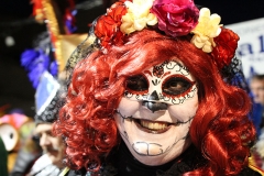 carnaval-miguelturra-proclamacion-2018