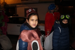 carnaval-miguelturra-proclamacion-2018