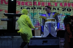 carnaval-miguelturra-proclamacion-2018