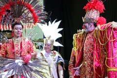 carnaval-miguelturra-proclamacion-2018