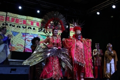 carnaval-miguelturra-proclamacion-2018