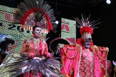 carnaval-miguelturra-proclamacion-2018