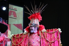 carnaval-miguelturra-proclamacion-2018