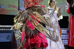 carnaval-miguelturra-proclamacion-2018