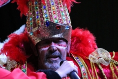 carnaval-miguelturra-proclamacion-2018