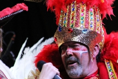 carnaval-miguelturra-proclamacion-2018