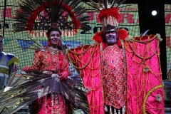 carnaval-miguelturra-proclamacion-2018