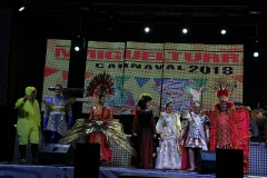 carnaval-miguelturra-proclamacion-2018