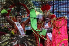 carnaval-miguelturra-proclamacion-2018