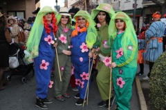 carnaval-miguelturra-mascaras-mayores-2019