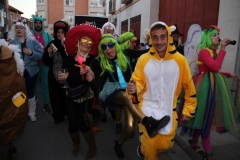 carnaval-miguelturra-mascaras-mayores-2019