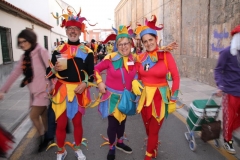 carnaval-miguelturra-mascaras-mayores-2019