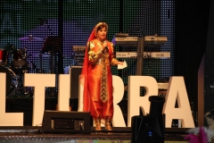 carnaval-miguelturra-mascaras-mayores-2019