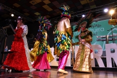 carnival-miguelturra-proclamation-masks-majors-2020