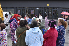 carnaval-miguelturra-proclamacion-2025