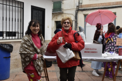 carnival-miguelturra-proclamation-2025