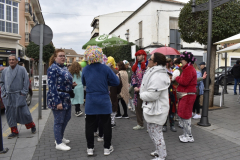 carnaval-miguelturra-proclamacion-2025