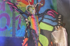 carnival-miguelturra-museum-2017