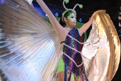 carnival-miguelturra-museum-2017