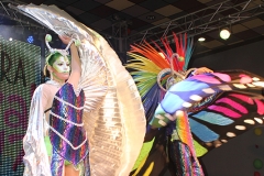 carnival-miguelturra-museum-2017