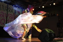 carnival-miguelturra-museum-2017