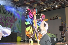 carnival-miguelturra-museum-2017
