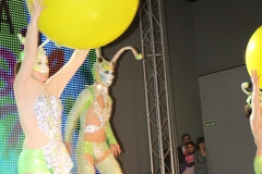 carnival-miguelturra-museum-2017