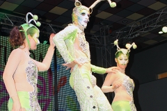 carnival-miguelturra-museum-2017