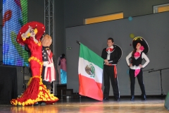 carnaval-miguelturra-museo-carnaval-2017