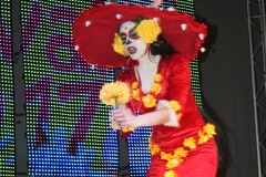 carnaval-miguelturra-museo-carnaval-2017