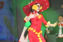 carnaval-miguelturra-museo-carnaval-2017