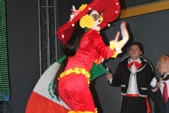 carnaval-miguelturra-museo-carnaval-2017