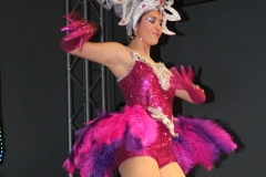 carnaval-miguelturra-museo-carnaval-2017
