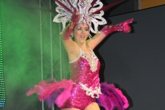 carnaval-miguelturra-museo-carnaval-2017